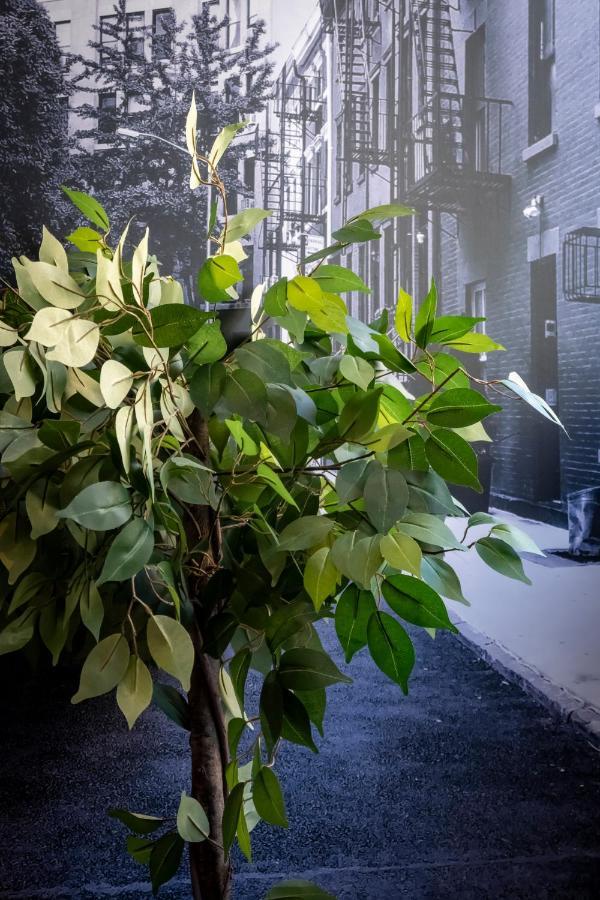 Superbe Appartement Avec Patio Nîmes Buitenkant foto
